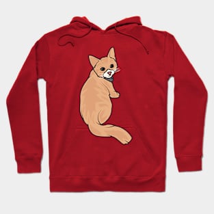 Cat Looking Back Hoodie